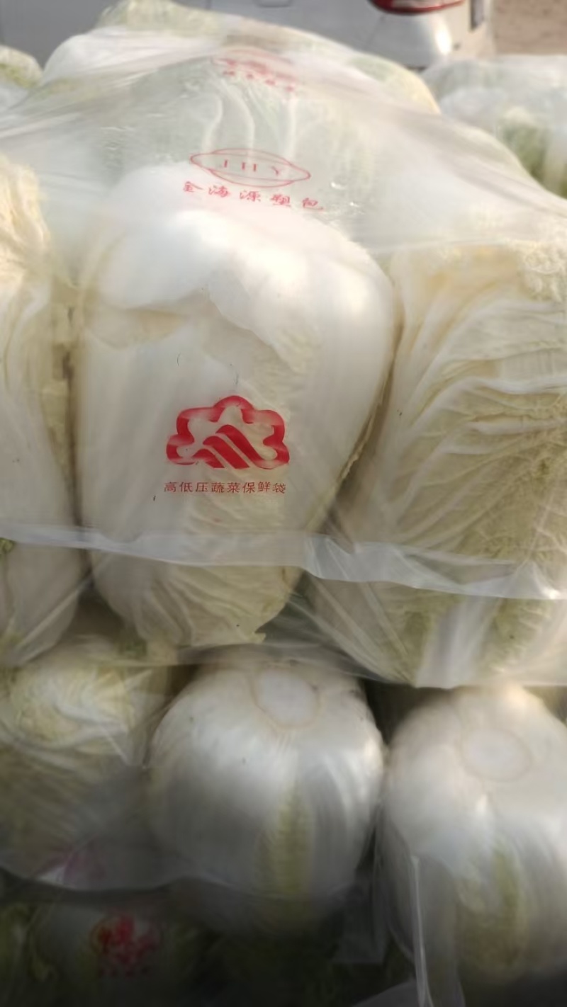 精品娃娃菜产地直供大量有货，对接批发市场超市全国发货