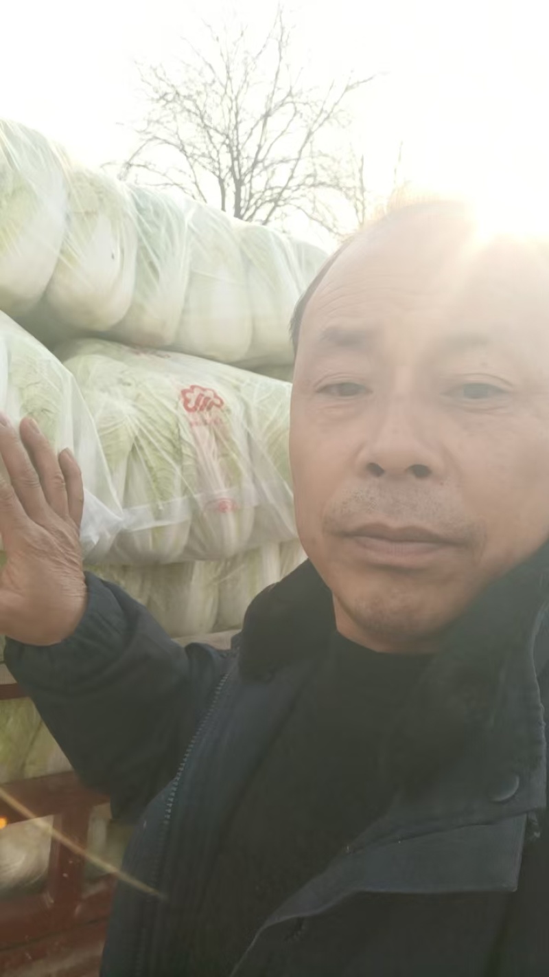 精品娃娃菜产地直供大量有货，对接批发市场超市全国发货