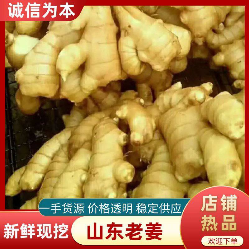 山东窖存老姜，泥姜，风干姜，水洗姜巴电商一件代发