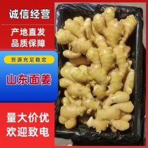 窖存优质大面姜。老姜，保质保量，对接全国