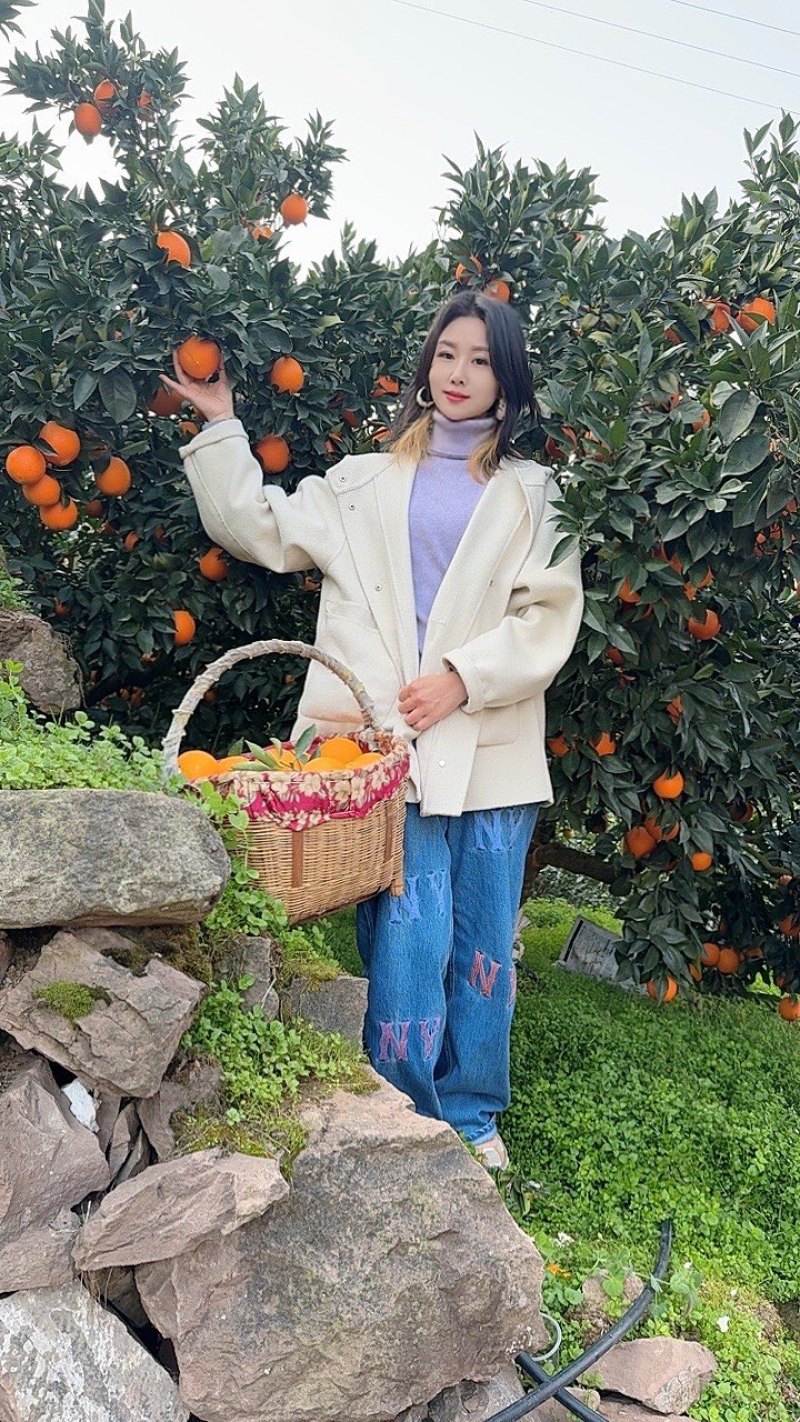 《果甜橙》九月红脐橙纯甜化渣供应市场电商商超客商