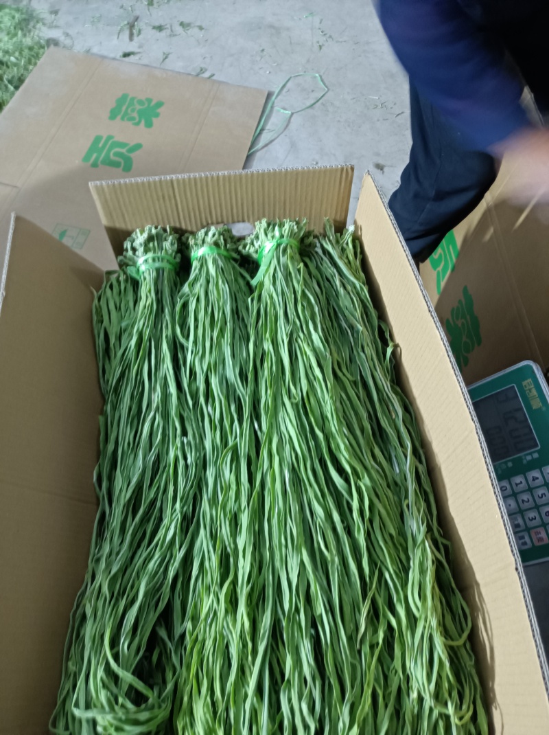 贡菜干产地一手货源，规格齐全（一件代发）对接全国客商
