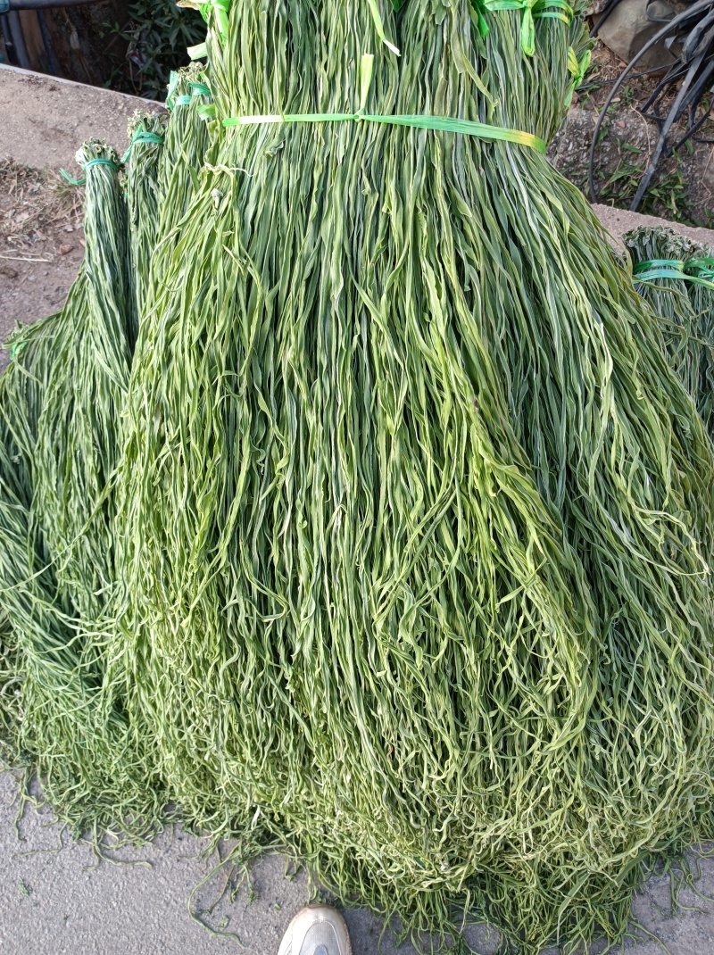 贡菜干产地一手货源，规格齐全（一件代发）对接全国客商