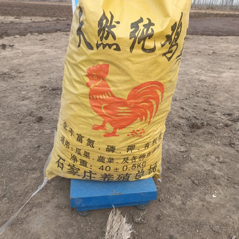 干鸡粪