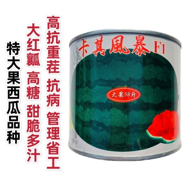 卡其风暴西瓜种子特大抗病重茬高产大果懒汉西瓜种籽高糖水果