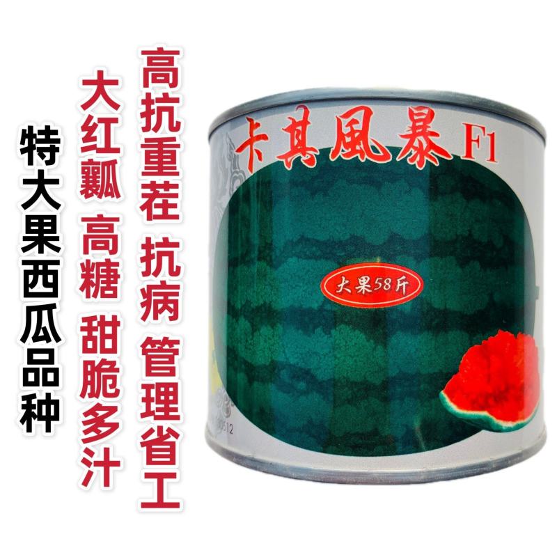 卡其风暴西瓜种子特大抗病重茬高产大果懒汉西瓜种籽高糖水果
