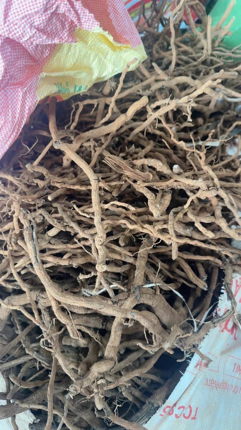 胡椒根