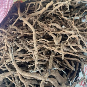 胡椒根