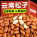 新货开口松子云南小松子批发价手剥松子坚果零食袋装
