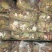 卤料调料商用五香大全炖肉猪蹄**牛肉卤水配方香料组合家庭