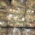 卤料调料商用五香大全炖肉猪蹄**牛肉卤水配方香料组合家庭