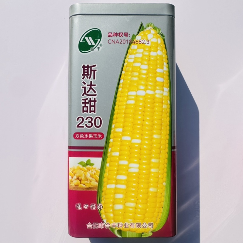 斯达甜230水果玉米种子双色超甜黄白双国审