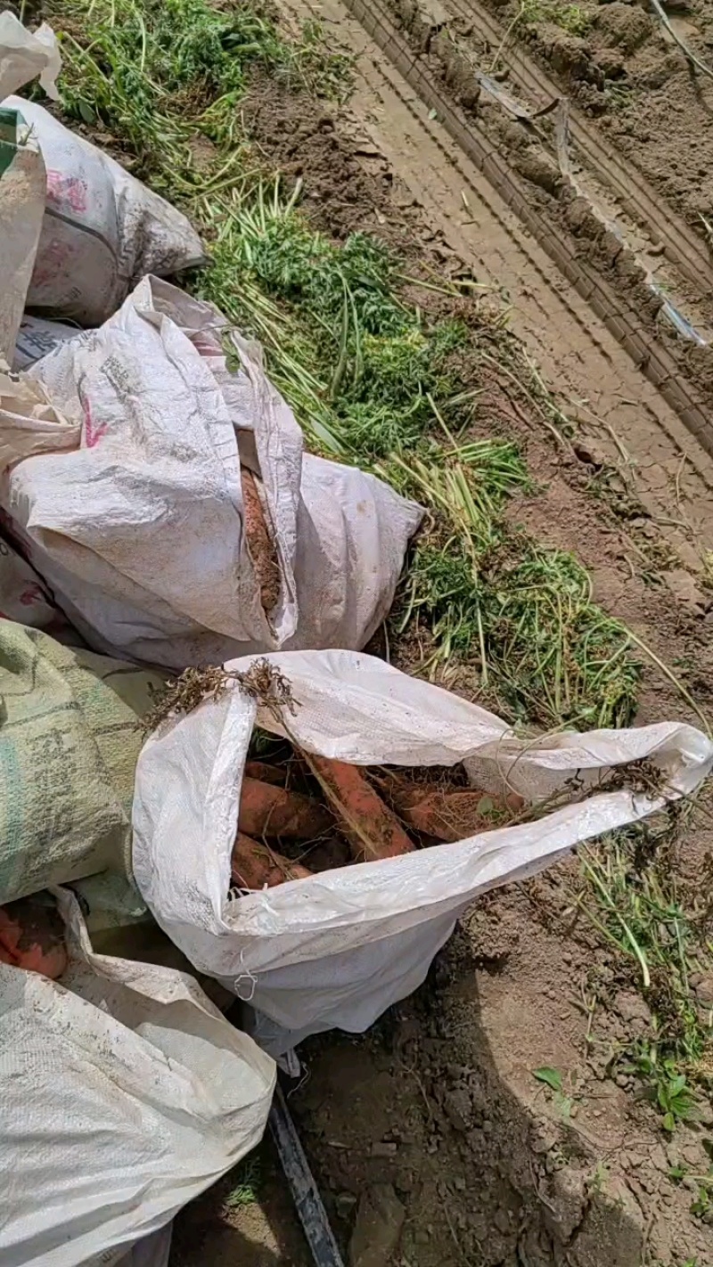 电商水洗土货都有