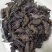 当季现货菱角新鲜批发价老菱角黑菱角棱角凌角水果零食多规格