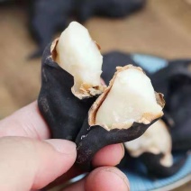 当季现货菱角新鲜批发价老菱角黑菱角棱角凌角水果零食多规格