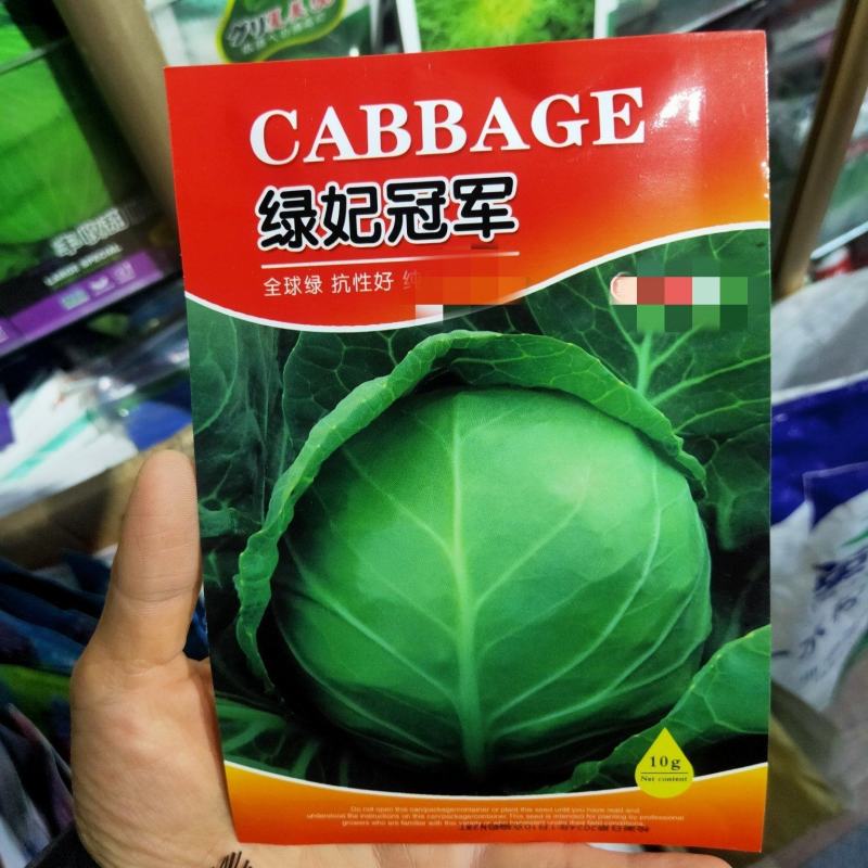 绿妃冠军甘蓝种子春秋种植口感甜脆耐裂球包菜种子