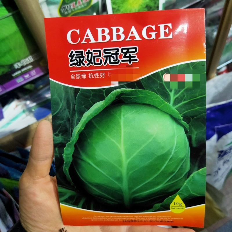 绿妃冠军甘蓝种子春秋种植口感甜脆耐裂球包菜种子
