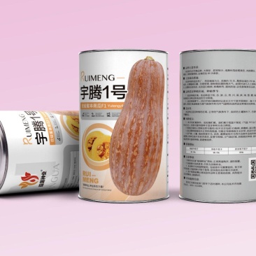 蜜本南瓜种子大果型表面棱沟明显味道粉甜大面积推荐