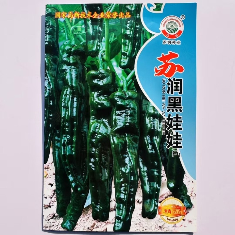苏润黑娃娃辣椒种子香辣小皱皮薄皮椒半螺椒种子