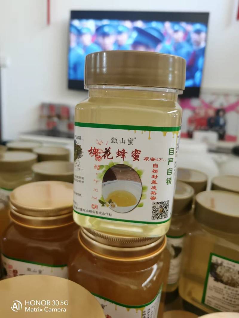 三门峡槐花蜜42度包邮一件代发可视频看货