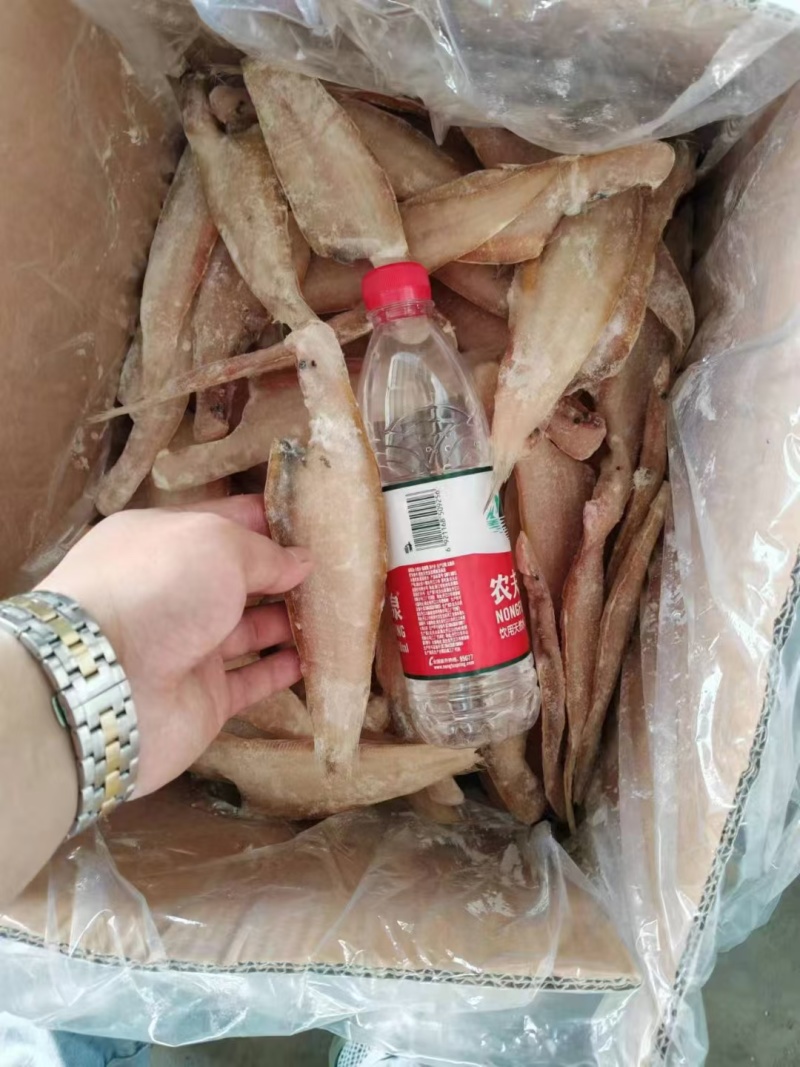 舌头鱼塌目鱼三去比目鱼去内脏去皮开箱即可使用