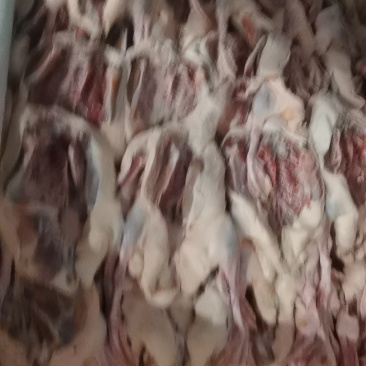 三只鸭送一只大鹅厂家直销