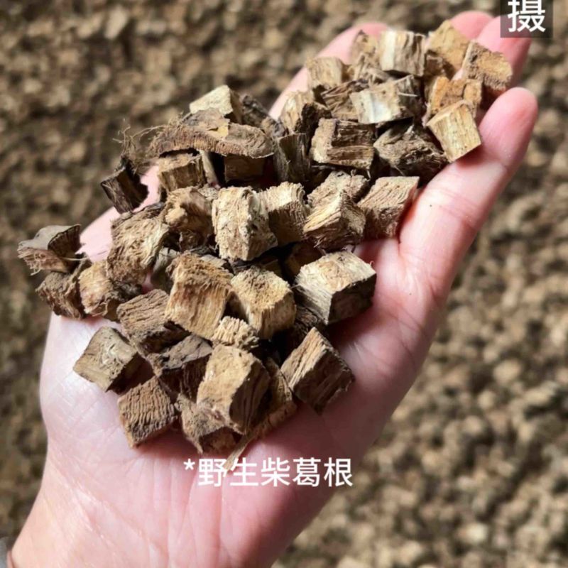 野生柴葛根工厂直发深山葛根高含量当季新货泡水喝茶四川发货