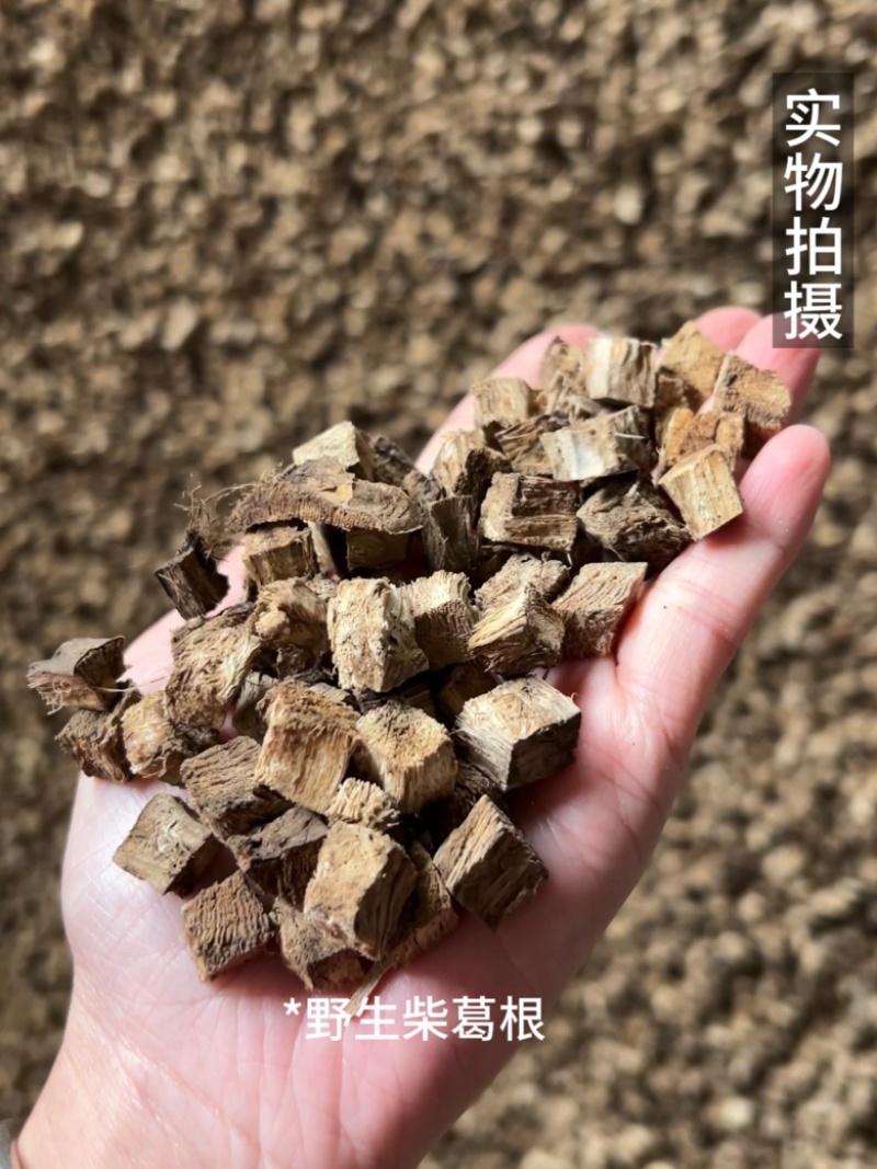 野生柴葛根工厂直发深山葛根高含量当季新货泡水喝茶四川发货