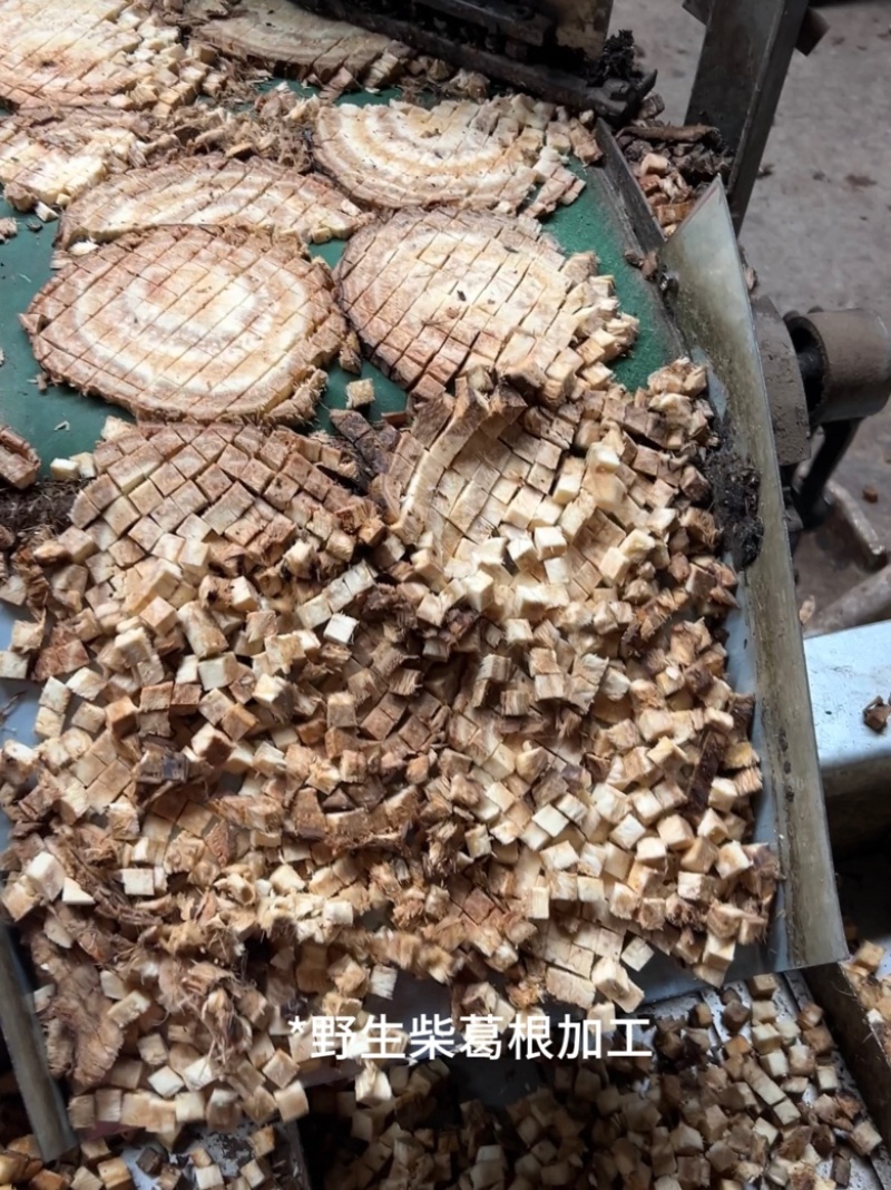 野生柴葛根工厂直发深山葛根高含量当季新货泡水喝茶四川发货