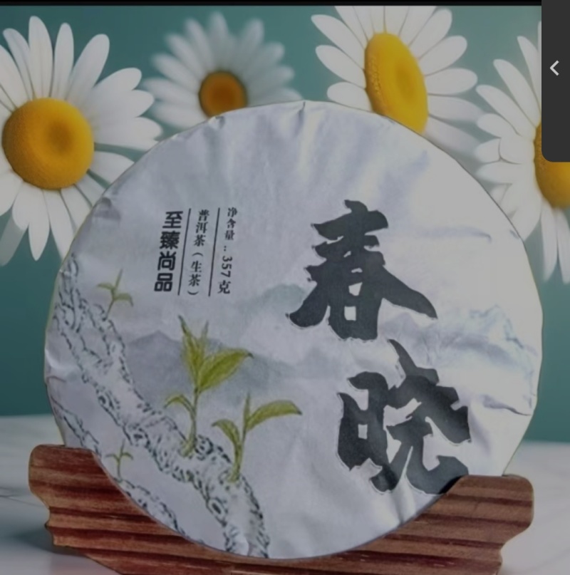 云南正宗普洱茶，都是自然生在山林上，欢迎咨询