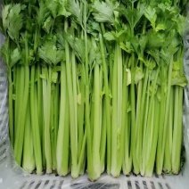 西芹