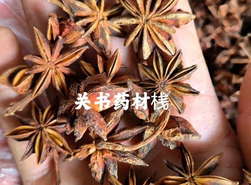 八角统货大茴香批发各种调料关书药业