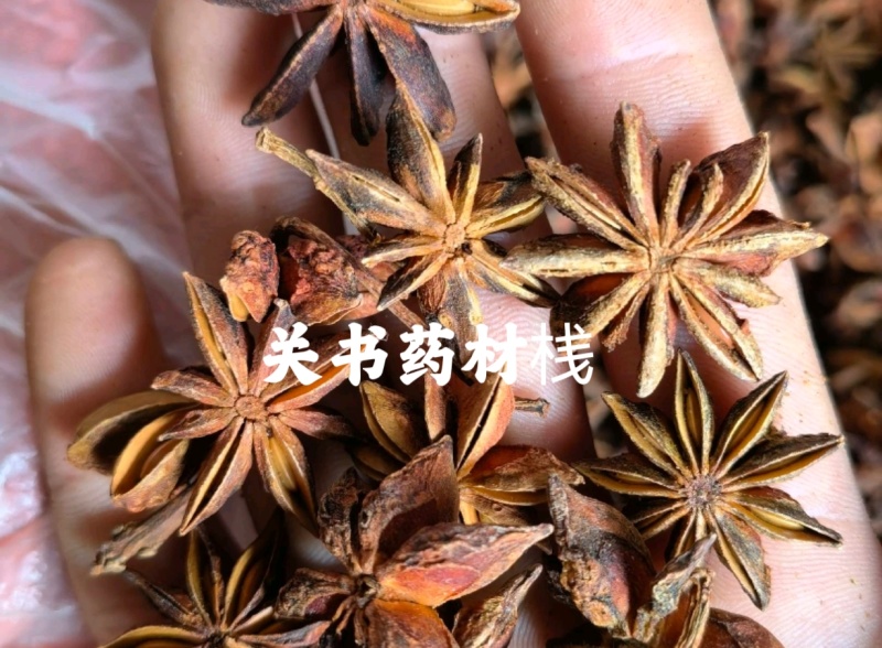 八角统货大茴香批发各种调料关书药业