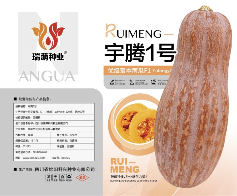 密本南瓜种子秘本南瓜种子蜜本南瓜种子海南南瓜种子形状好