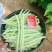 白芸2号芸豆种子中早熟白绿荚四季豆扁圆架豆春秋长豆角种子