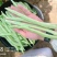 白芸2号芸豆种子中早熟白绿荚四季豆扁圆架豆春秋长豆角种子