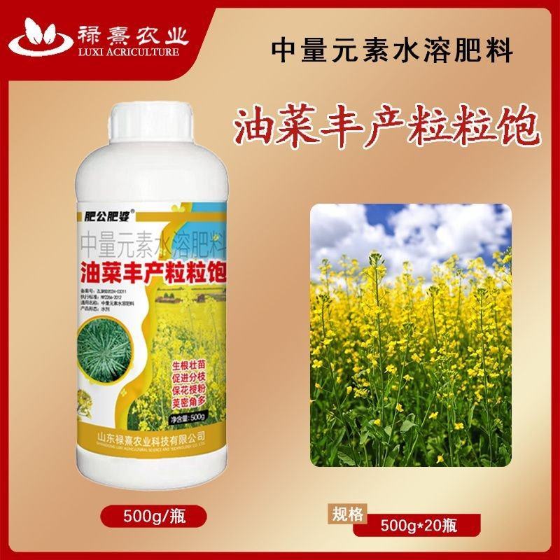 油菜丰产粒粒饱提高出油率促花授粉抗倒伏籽粒饱满油菜油菜粒