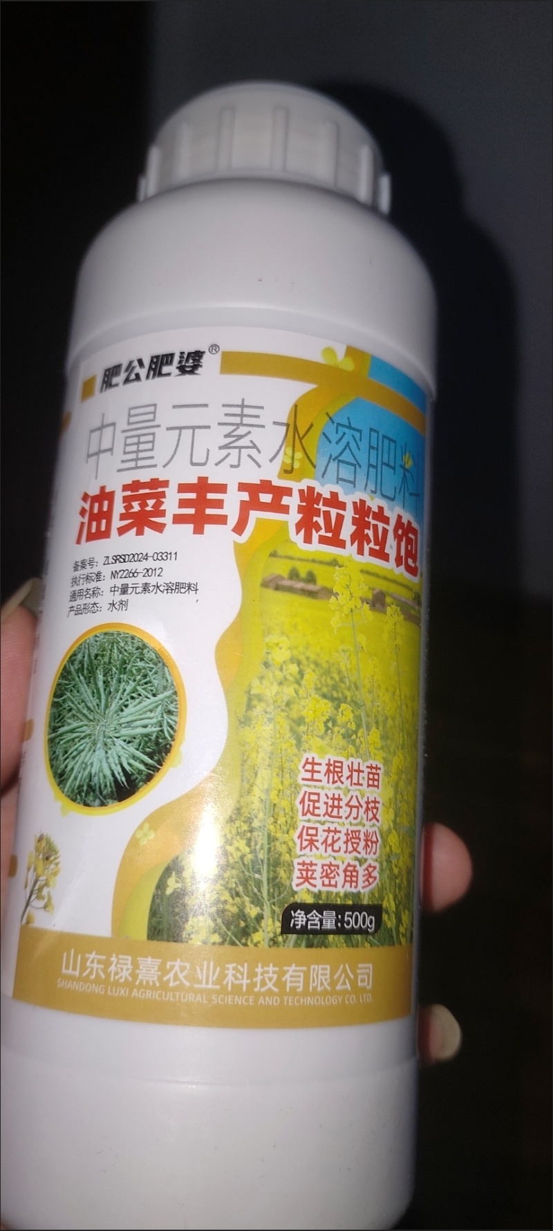 油菜丰产粒粒饱提高出油率促花授粉抗倒伏籽粒饱满油菜油菜粒