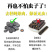 精品云南缅甸便秘果纯果肉腊肠果大解果大便排便