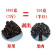 精品云南缅甸便秘果纯果肉腊肠果大解果大便排便