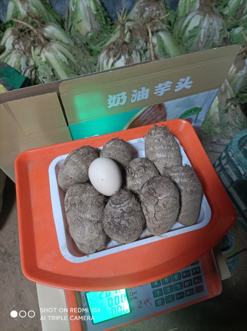 精品芋头，一手货源
