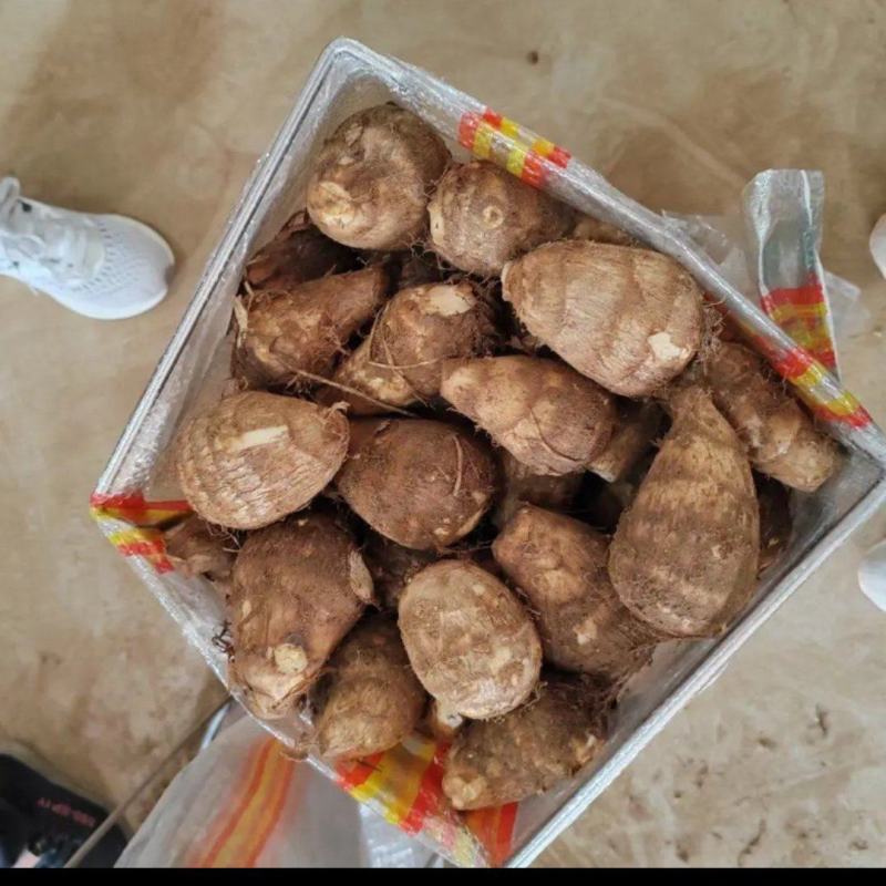 精品芋头，一手货源