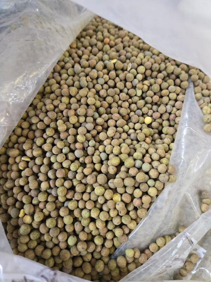 麻豌豆小麻豆冬豆2025年产新货