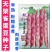 无架雀蛋豆种子不用搭架的地豆彩色紫红四季豆角种籽阳台蔬菜