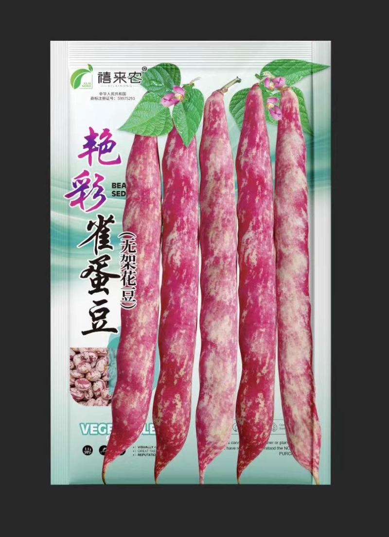 无架雀蛋豆种子不用搭架的地豆彩色紫红四季豆角种籽阳台蔬菜