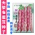 无架雀蛋豆种子不用搭架的地豆彩色紫红四季豆角种籽阳台蔬菜