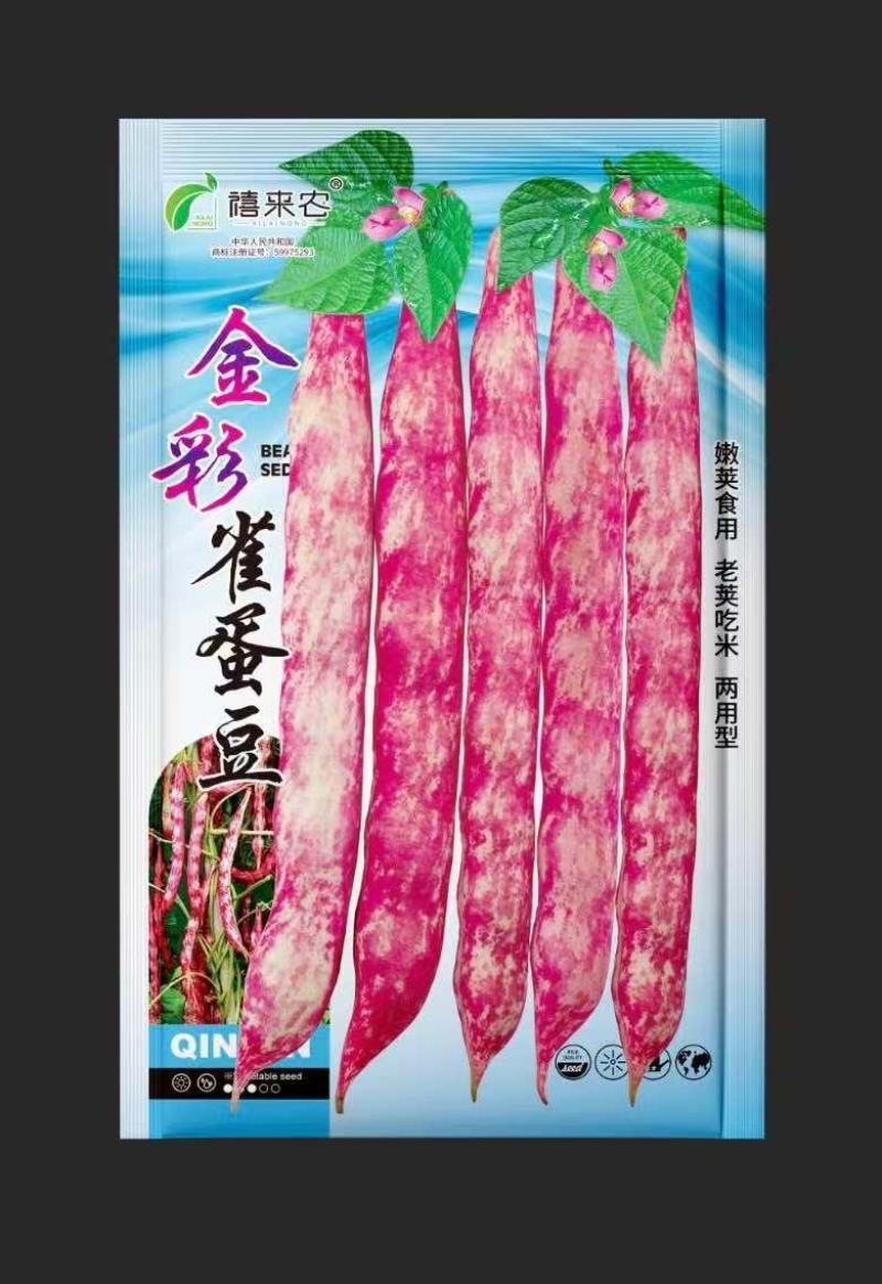 金彩雀蛋豆种子中晚熟无线生长蔓生荚青绿老荚粉红色春秋种植
