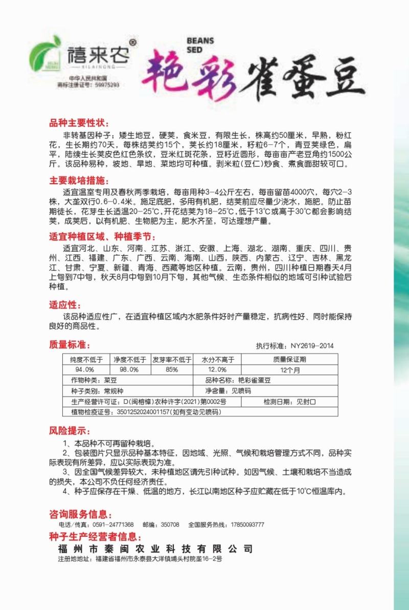 无架雀蛋豆种子不用搭架的地豆彩色紫红四季豆角种籽阳台蔬菜