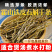 安徽霍山铁皮石斛干条石斛条打粉条干货