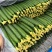优质密刺黄瓜/顶花带刺/干花带刺【电商商超市场直发】